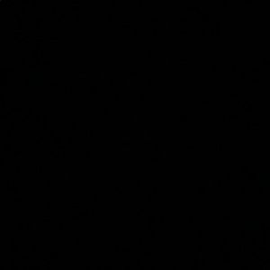 Meet your Posher, Bj